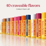 (3 pack) Burt's Bees 100% Natural Origin Moisturizing Lip Balm with Beeswax, Vanilla Bean, 1 Tube