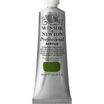 Winsor & Newton Artists' Acrylic Color, 60ml, Permanent Sap Green