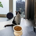 thumbnail image 6 of Elevated Ceramic Pet Bowl for Cats and Small Dogs Vomit Food Dish with Spinal Health Design, 6 of 6
