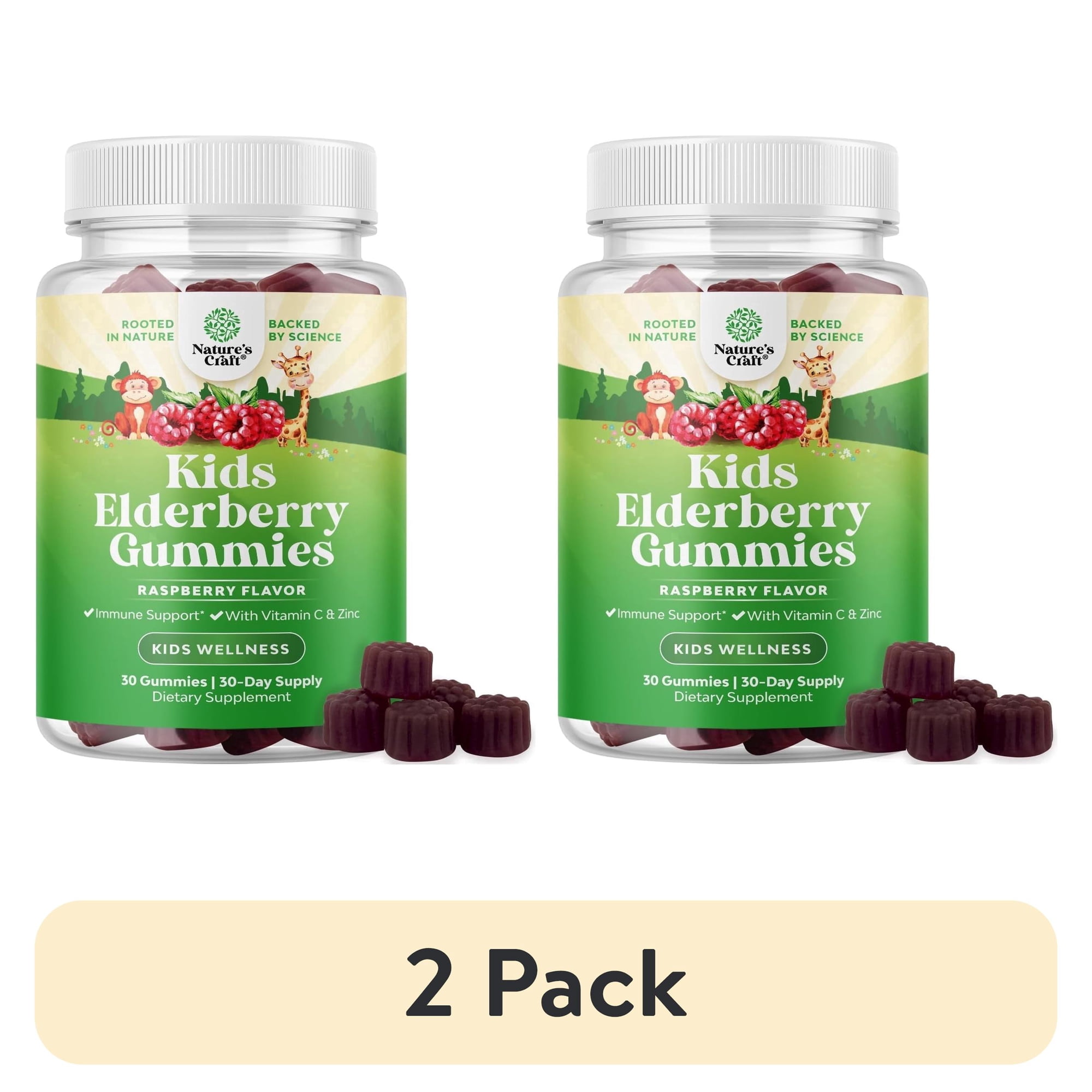 (2 pack) Natures Craft Kids Elderberry Gummies with Zinc and Vitamin C, Immune Support Supplement, 30 Count