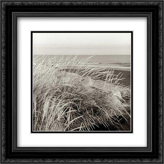 Tuscan Coast Dunes - 3 2x Matted 20x20 Black Ornate Framed Art Print by Blaustein, Alan