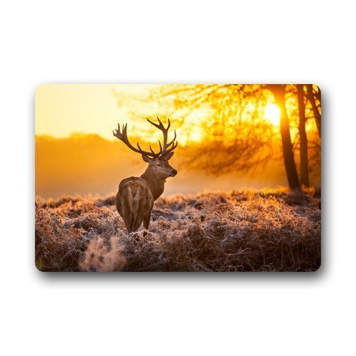 QIFEIHA Frozen Forest Reindeer Design Doormat Outdoor Indoor Floor Mats Non-Slip Bathroom Mats Rug Size 18x30 Inch