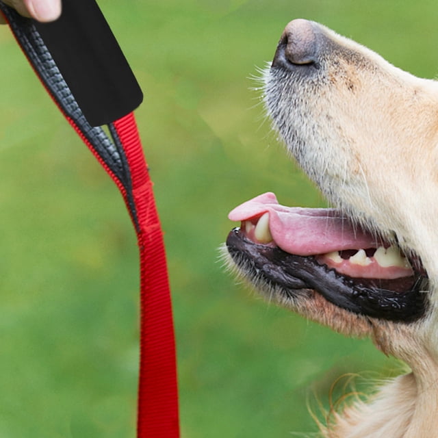 Luxshiny 5Ud Accesorios Para Correa De De Esponja Para Agarre Cómodo