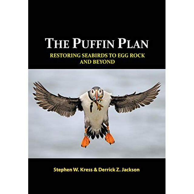 Le Plan du Pupin: Restaurer les Oiseaux de Mer en Uf et au-Delà