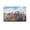 Unframe-style, variant on David Mann Posters (22) Picture Print Canvas Poster Wall Paint Art Posters Decor Modern Home Artworks Gift 20x30inch(50x75cm)