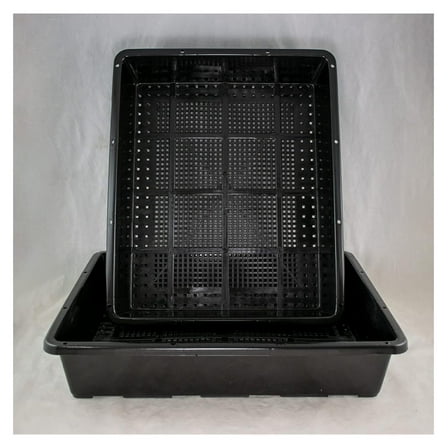 2 x Black Plastic Tray for Propagation, Bonsai Forest/Group Planting 15"x 12"x 3"
