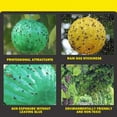 thumbnail image 6 of 6 PCS Sticky Fruit Fly Trap Ball, Flying Traps Outdoor and Bugs Sticky Ball, Sticky Fly Gnat Mosquito Bugs Flying Killer and Insects Trap Ball Traps(Yellow), 6 of 6