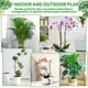 thumbnail image 5 of Soporte para plantas Toystoory Clips de plástico resistente Jardín y Patio, 5 of 6