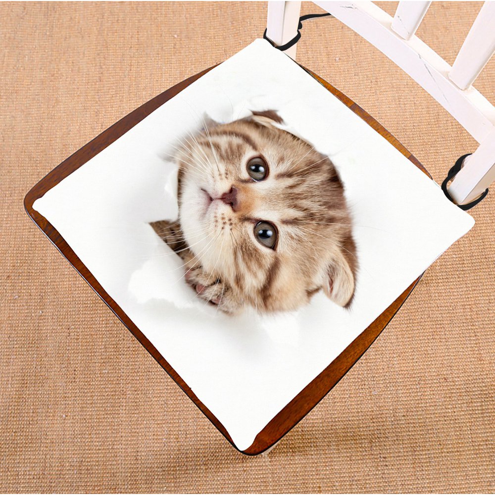 PHFZK Funny Kitten Chair Pad, Animal Cat Looking out Paper Hole Seat