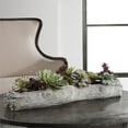 thumbnail image 2 of Uttermost Charita Succulentes Contemporaines en Plastique et Ciment Vert, 2 of 4