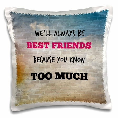3dRose Best friends. Friendship. Saying., Pillow Case, 16 by