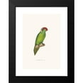 thumbnail image 2 of Coenraad Jacob Temminck 14x18 Black Modern Framed Museum Art Print Titled - Iris Parakeet (1838), 2 of 5
