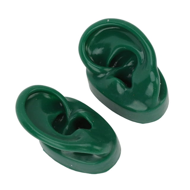 Modelo de Oído Humano, Modelo de Orejas Simuladas de Base Grande Resistencia Al Agua Gran Resistencia Para La Acupuntura de Puntos para hospital
