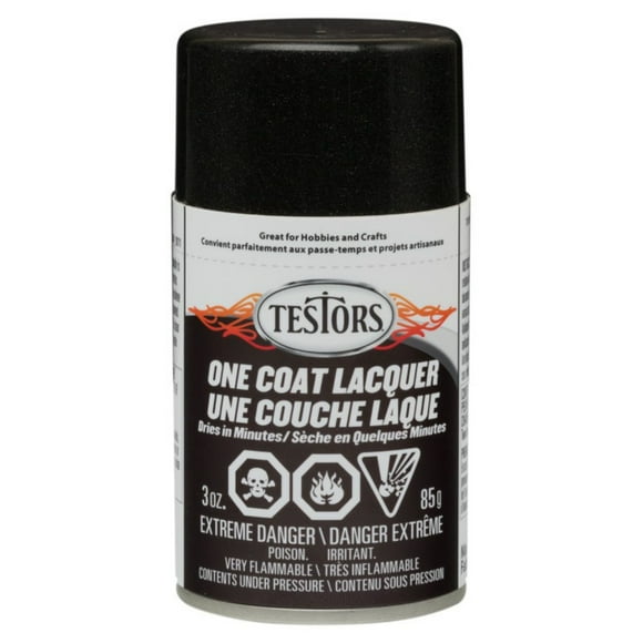 Testors Spray Paint