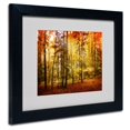 thumbnail image 3 of Trademark Fine Art "Fall Color" Canvas Art by Philippe Sainte-Laudy, Black Frame, 3 of 3