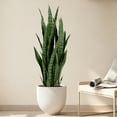 thumbnail image 2 of 35in Artificial Snake Plant, Faux Snake Plant & Fake Snake Plant– Sansevieria Faux Greenery with Black Planter for Low Maintenance Indoor Home Office Decor, 2 of 6