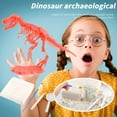 thumbnail image 3 of Kit Dinosaure Excavation Kit Modèle Squelette Dinosaure Classique Éducation, 3 of 5