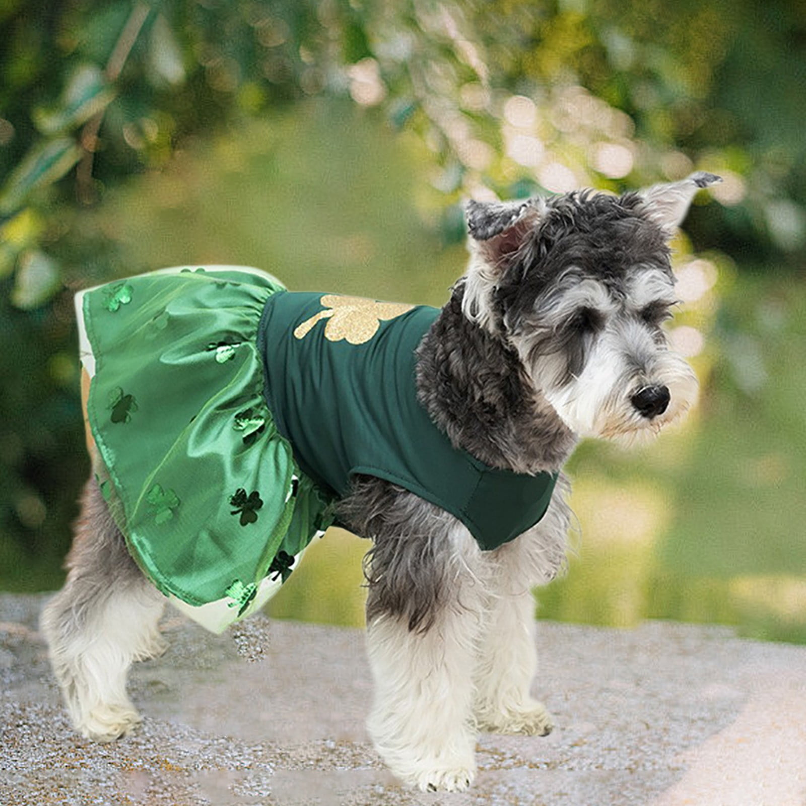 St. Patrick's Day Dog Dress - Irish Style Green Mesh Skirt for Dogs,  Breathable & Adjustable Pet Costume, Festive Puppy Apparel for Small Medium  Large Breeds, Easy to Wear Dog Clothing -