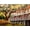 Unframed, variant on Art.com Jackson Square - New Orleans Stretched Canvas Print Wall Art by Diane Millsap, 16" x 12"