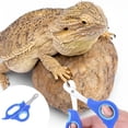 thumbnail image 4 of EXLEAF Bearded Dragon Nail Clippers,Stainless Steel Bearded Dragon Accessories,Professional Grooming pet Tools Including Nail File and Scissors for Small Reptiles,Chameleon,Cats,Dogs,Iguana, 4 of 5
