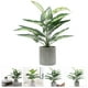 thumbnail image 2 of Suculentas artificiales Ornamentos Imitación decorativa Decoración de bonsai adorno de escritorio, 2 of 4