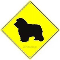 Metal Tin Sign Great Road Sheep Dog Symbol Crossing Animal Xing Crossing Yellow Diamond Sign for Home Office Bar Indoor Outdoor Wall Decor Yard Sign Square Sign 12" x 12"