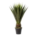 thumbnail image 1 of Vickerman FO181901 Pot d'Aloe Vera en Pot Vert de 40 Po, 1 of 2