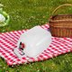 thumbnail image 4 of IDEANATEGRATE 1Ud De Plegable Con Para Uso En Camping Y Exterior, 4 of 8