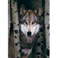 thumbnail image 1 of Loup Gris - 6000-1244, 1 of 2