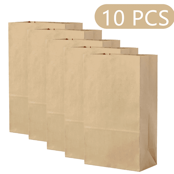 MISSMILE 10 Pcs Brown Paper Bags,Kraft Paper Bags for Groceries,Shopping,Parties,Medium Brown Paper Bag for Candy,Food,Gifts