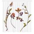thumbnail image 3 of Ambesonne Flower Shower Curtain, Lilacs Daisises Tulips, 69"Wx75"L, Multicolor, 3 of 5
