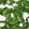 thumbnail image 3 of 63"H Real-touch beauty Bonsai, 3 of 7