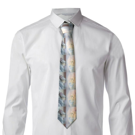 Rocae The Cat Looks in the Mirror for Soft and Comfortable Men's Tie Necktie Wedding Business