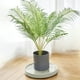 thumbnail image 4 of Base Rodante Resistente para Plantas con Ruedas | Bandeja Extraíble para Macetas | Carrito Transpirable para Macetas Grandes | Soporte Rodante de Plástico Beige/Gris, 4 of 6