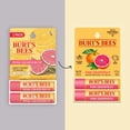 thumbnail image 2 of Bálsamo labial hidratante Burts Bees Pink Grapefruit Twin Pack 2 x 0.15 oz, 2 of 9