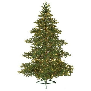 Bethlehem lights christmas trees online