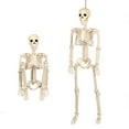 thumbnail image 1 of Small Halloween Skeleton 16" Full Body Halloween Skeleton Decor With Movable Joints Indoor Decorations, 1 of 9