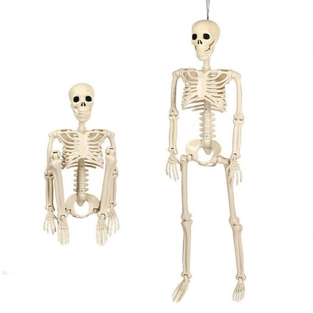 Small Halloween Skeleton 16" Full Body Halloween Skeleton Decor With Movable Joints Indoor Decorations