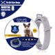 thumbnail image 1 of EX Collar para mascotas ICED Cat 38cm 1 pieza brillar Electrónica, 1 of 4