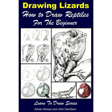 Drawing Lizards: How to Draw Reptiles For the Beginner -