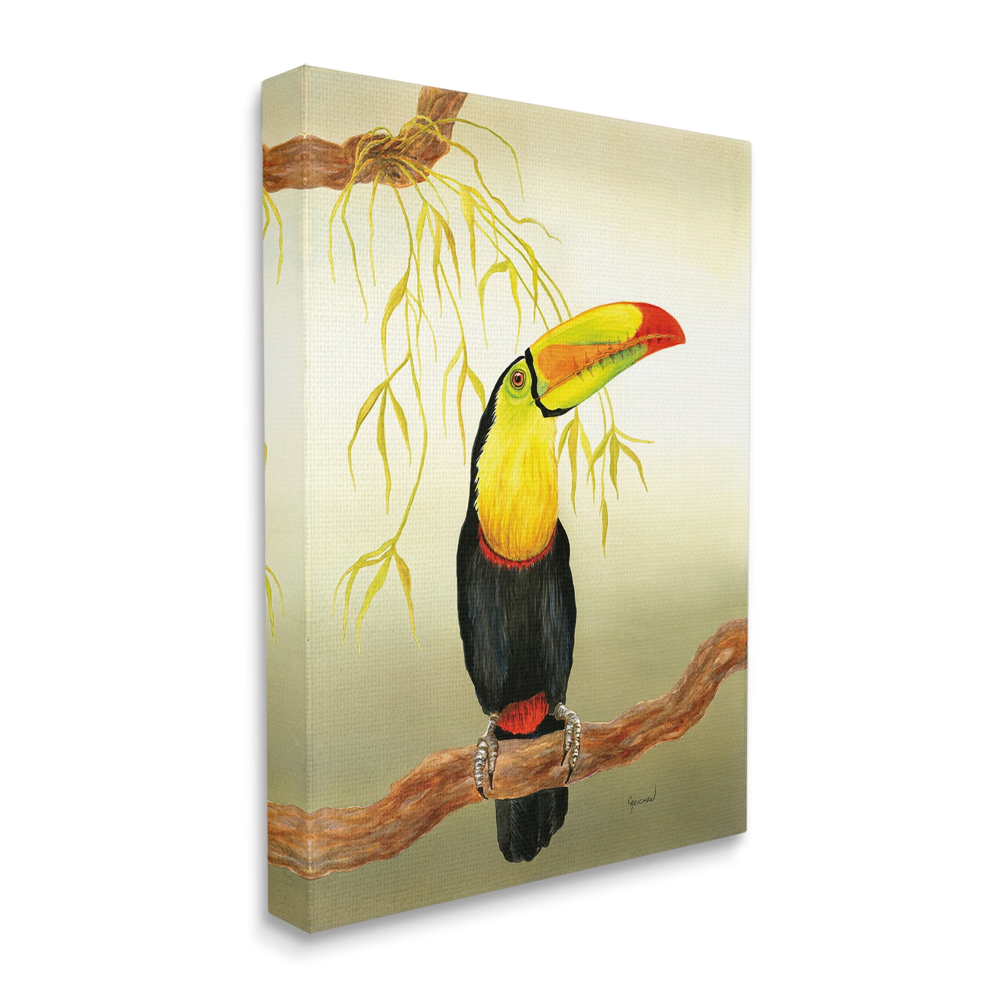 Stupell Industries Toucan on Forest Branch Animals & Insects Painting Gallery Wrapped Canvas Art Print Wall Art, 36 x 48