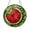 Acrylic 3.5 Inch, variant on Colorful Watermelon Faux Stained Glass Acrylic Suncatcher – Window Hanging Decor