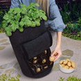 thumbnail image 1 of 2 bolsas para plantar patatas, bolsa para plantas de 10 galones, bolsa para plantar, saco para patatas, 1 of 2