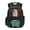 Capybara, variant on Aplkyhs Blue Axolotl Backpack for Girls Boys Age 6-18 Adorable School Bag Lightweight Water Resistant Multi-pocket Bookbag for Travel & Daily Use