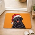 thumbnail image 2 of Christmas Dog Doormat, Orange Cute Puppy with Santa Hat, 24x16 Inch Non-Slip Absorbent Velvet Rug for Front Door, Indoor Entrance, Holiday Decor & Pet Lovers Gift, 2 of 5