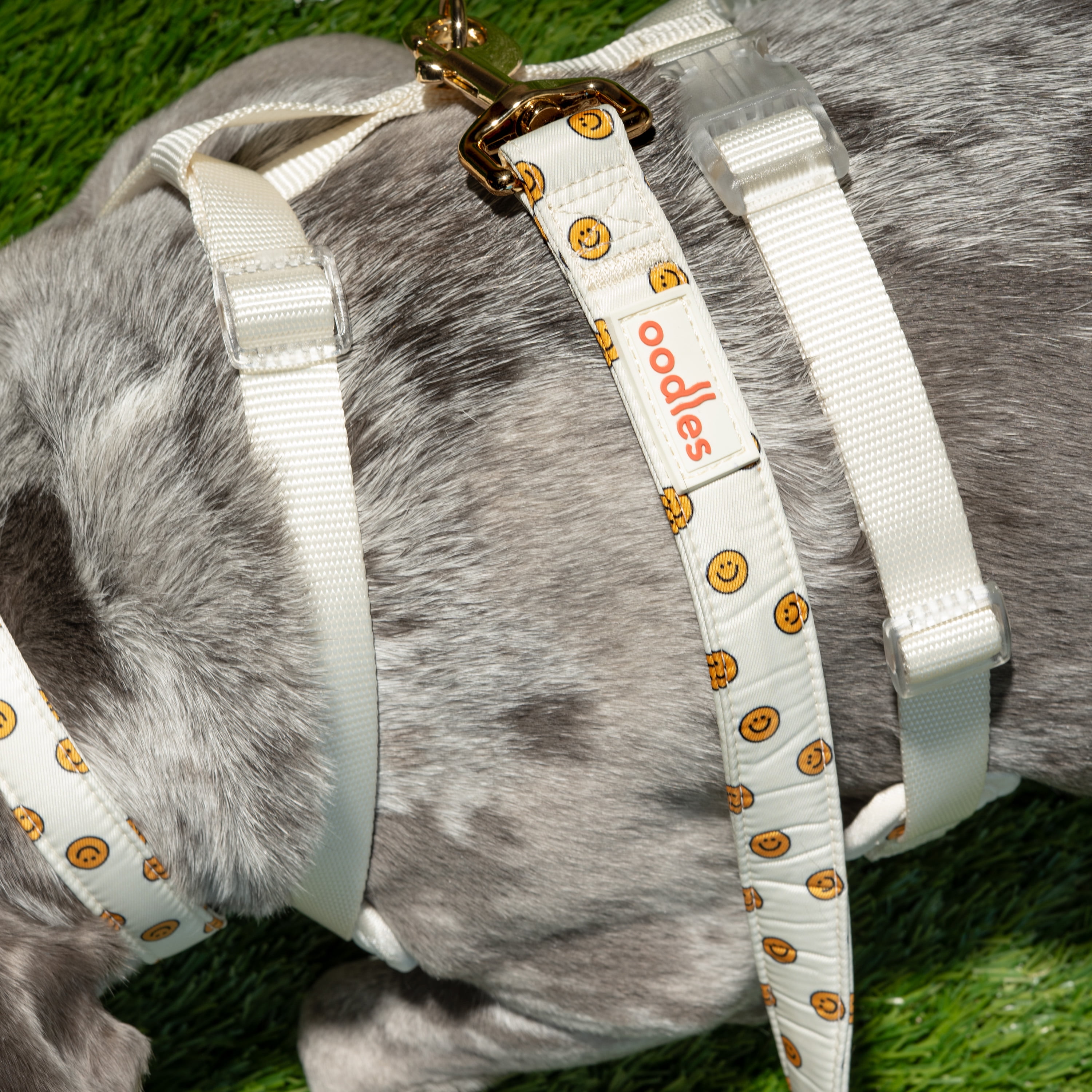 Oodles Tan Smiley Faces Standard Dog Leash, 6ft