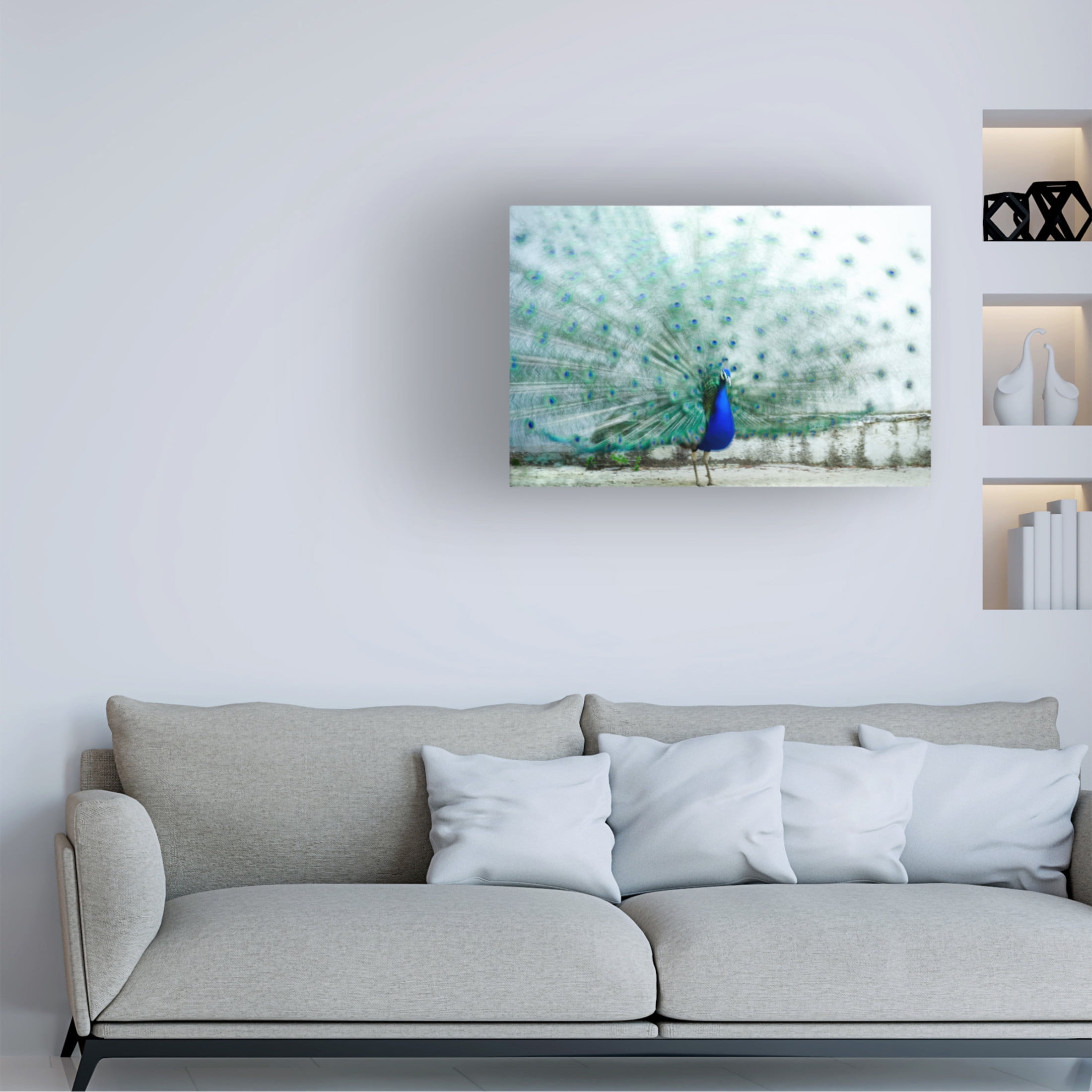 Trademark Fine Art Piera Polo  Peacock Canvas Wall Art