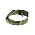 thumbnail image 2 of Mammoth Polyester Wide Buckle Design, Adjustable Fashion Dog Collar, Green, Large, 2 of 10