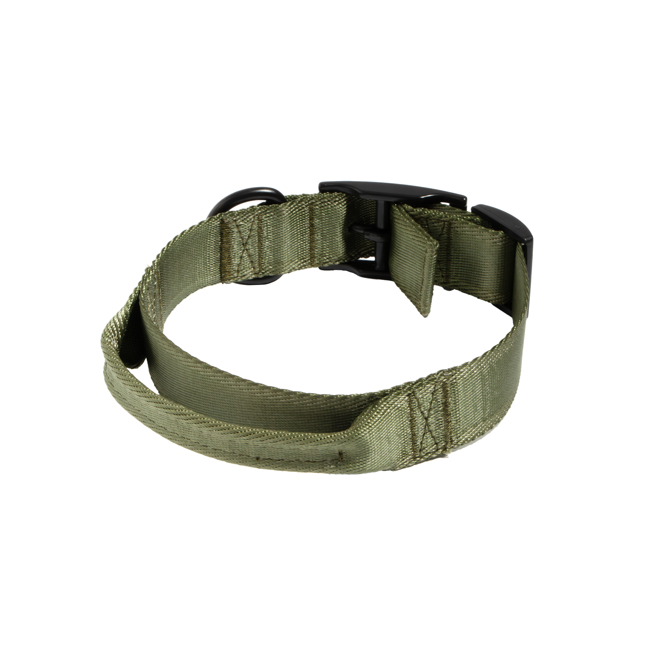 Mammoth Adjustable Fashion Dog Collar, Green, Medium photo 2