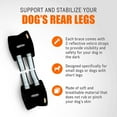 thumbnail image 5 of NeoAlly Dog Rear Leg Braces Ankle Support [Pair] Canine Hind Hock Sleeves with Safety Reflective Straps for Injury, Sprain, Wound Healing and Loss of Stability from Arthritis (Small Pair), 5 of 9